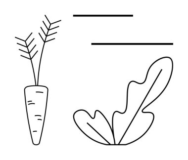 Havuç yapraklı üst ve marul yaprağı minimalist tarzda çizilmiş, yanında da iki yatay çizgi var. Bahçıvanlık, sağlıklı beslenme, minimalizm, organik gıda, veganizm, beslenme için ideal
