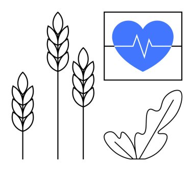 Buğday sapları, mavi kalp atışı sembolü kare, tek yaprak. Sağlık, beslenme, sağlık, tarım, sürdürülebilir sağlıklı beslenme için idealdir. Doğanın soyut çizgiyle kombinasyonu