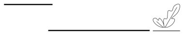 Üstte ve altta siyah yatay çizgiler ve sağ alt köşede basit, zarif bir yaprak tasarımı var. Sunumlar için ideal, kırtasiye, davetiyeler, sosyal medya başlıkları, minimalist