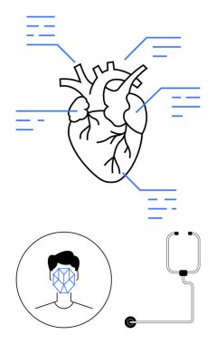Veri işaretli anatomik kalp, yüz taraması tanımlama ızgarası, stetoskop aşağıda. Sağlık teknolojisi, yapay zeka teşhisi, biyometri, kardiyoloji, sağlık izleme, dijital tıp için ideal