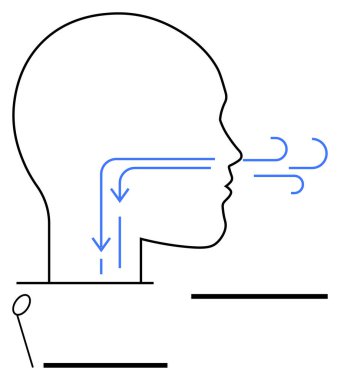 Boğaz ve solunum sisteminde hava akışını gösteren bir insan kafasının taslağı. Eğitim, sağlık, anatomi, nefes alma teknikleri, tıp eğitimi, sağlık, soyut düz çizgi için ideal