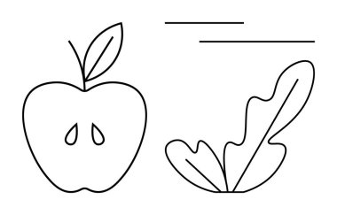 Elma ve yaprak siyah çizgilerle çizilmiş, basitlik ve doğadan esinlenilmiş. Sağlık, organik, diyet, taze üretim, basitlik, minimalizm ve doğa temaları için idealdir. Dengeyi ve büyümeyi temsil eder