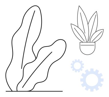 Büyük tek yapraklı bitki, çoklu yapraklı saksı bitkisi, iki dişli. Doğa, sürdürülebilirlik, büyüme, süreç optimizasyonu, gelişim yeniliği ve ekoloji kavramları için idealdir. Soyut çizgi