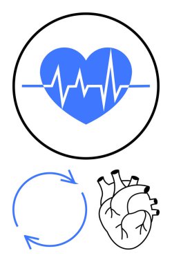 EKG çizgisi olan mavi kalp, akışı gösteren dairesel oklar ve anatomik kalp. Sağlık, ilaç, kardiyoloji, zindelik, zindelik tanısı için ideal. Basit düz metafor