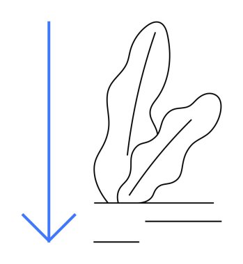 Doğrusal toprağa kök salmış iki yaprağın yanında mavi aşağı doğru ok. Büyüme, yön, karar verme, doğa ilkeleri, basitlik, denge, ekosistem için idealdir. Düz basit metafor