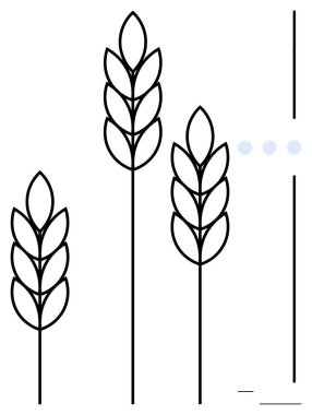 Değişen yüksekliklerdeki üç buğday sapı temiz geometrik çizgilerle tarım, büyüme, sürdürülebilirlik ve doğa temalarını çağrıştırıyor. Çiftçilik, hasat, organik ürünler, ekolojik kavramlar için ideal