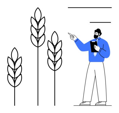Elinde bir pano tutarken buğday saplarını işaret eden erkek uzman, ekinlerin analizini gösteriyor. Tarım, tarım, veri analizi, tarım, ekin planlama, araştırma eğitimi için ideal. Düz basit