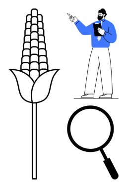 Mısır bitkisi, pano ile işaret eden bilim adamı, araştırma, tarım ve analizi vurgulayan büyüteç. Çiftçilik, bilim, yenilik, çevre sürdürülebilirlik eğitimi için ideal
