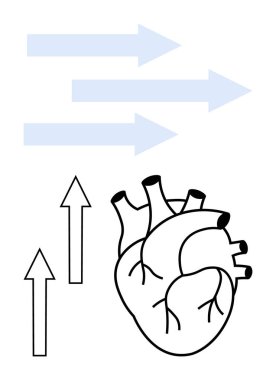 Yukarı doğru ok ve yatay ok ile anatomik kalp çizimi büyüme, hareket ve sağlığı vurguluyor. Sağlık, kardiyo sağlığı, tıbbi gelişmeler, enerji, ilerleme, üretkenlik için ideal