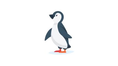 Buz tarlasında duran sevimli penguen soğuk ve kışı temsil ediyor. Penguenin siyah beyaz tüyleri vardır ve tipik bir kutup yaban hayatı ortamı içindedir..