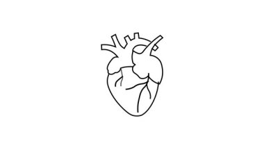 Anatomik bir kalbin minimalist siyah beyaz çizgisi. Tıbbi, sağlık hizmetleri veya biyolojiyle ilgili konular ve çizimler için ideal.