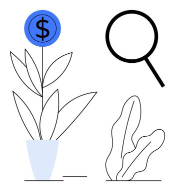 Bitkinin içinde büyüyen para yakınlardaki büyük büyüteç, soyut yapraklar. Finans, yatırım, iş büyümesi, para yönetimi, sürdürülebilirlik ekonomisi analizi için ideal. Düz basit