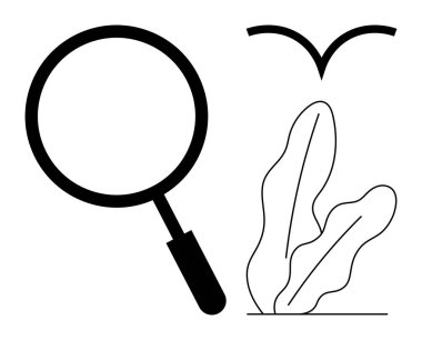 Soyut kuş ve bitki yapraklarının yanında büyüteç, araştırma, gözlem, doğa ve minimalizmi sembolize ediyor. Araştırma, keşif, ekoloji, sürdürülebilirlik bilimi öğrenme analizi için ideal