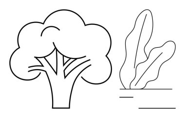 Blackline ağaç ve yaprak bitkileri doğayı, büyümeyi ve basitliği vurgulayan tasarımlar. Sürdürülebilirlik, çevre bilinci, bahçıvanlık, çevre, minimalizm eğitimi ve refah temaları için ideal. Mükemmel.