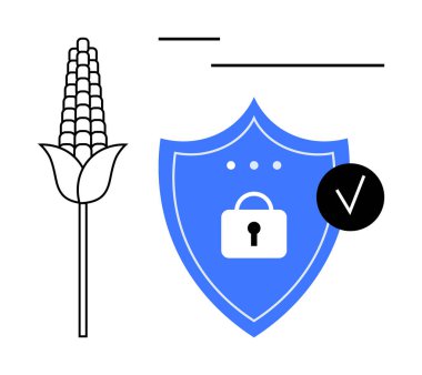 Kilitli ve işaretli mavi bir kalkanın yanında mısır sapı tarımda siber güvenliği, veri korumasını ve tarım teknolojisine olan güveni sembolize ediyor. Sürdürülebilirlik ve yenilik için ideal
