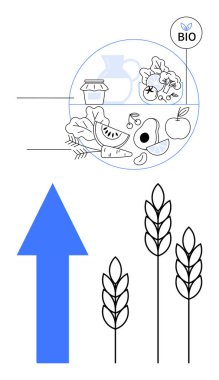 Organik gıda elementleri meyve, sebze, süt ürünleri, buğday ve biyo-etiketin yanı sıra büyüme okunu da destekliyor. Sürdürülebilir tarım, organik üretim, çevre dostu yaşam, sağlık ilerlemesi beslenme için ideal