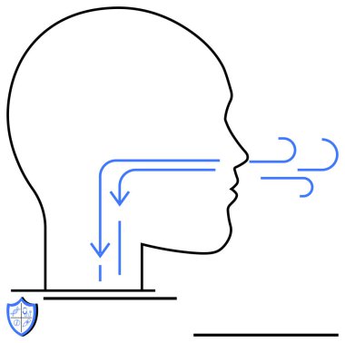 Burun boşluğundan geçen hava akımını gösteren yan profil çizgisi. Boğazı oklarla işaretlenmiş akciğerlere doğru. Küçük kalkan ikonu güvenliği simgeler. Sağlık, anatomi, nefes alma, eğitim ve hijyen için ideal