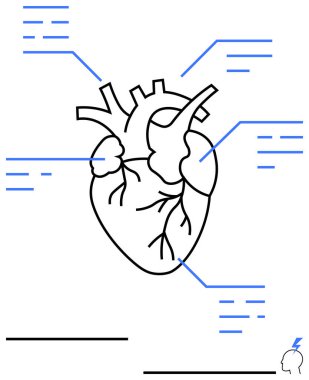 Veri notları ve analiz sembolleriyle anatomik kalp çizgisi. Tıp bilimi, kardiyoloji, eğitim, anatomi eğitimi, sağlık teşhisi, veri temsili için ideal