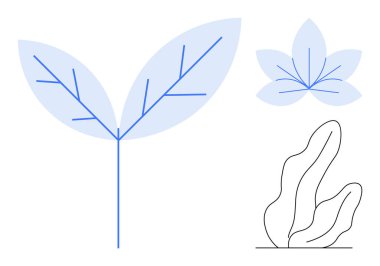 Mavi çizgili yaprak, minimalist bitki çizimleri, hassas damar ayrıntıları, organik şekiller. Ekoloji, refah, sürdürülebilirlik, bahçıvanlık, çevre teması için ideal basit iniş sayfası