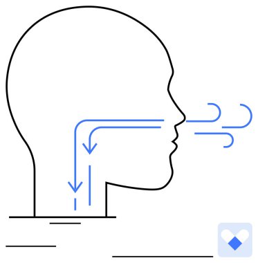 Solunum sisteminde solunum ve nefes alma için işaretlenmiş yolları olan bir insan kafasının hava akışını gösteren ana hatları. Sağlık, anatomi, eğitim, ilaç, nefes alma, hava akımı için ideal