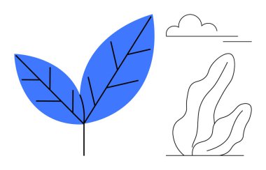 Doğrusal damarlı mavi soyut yaprak, biçimlendirilmiş bulut ve organik bitki tasarımı. Sürdürülebilirlik, çevre, doğa, büyüme, refah, eğitim, çevre dostu markalaşma ve basit iniş için ideal