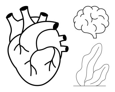 Beynin yanında anatomik kalp ve kalın siyah çizgilerle çizilmiş yapraklı bitki. Sağlık, eğitim, bilim, anatomi, doğa, refah ve basit iniş sayfası için ideal