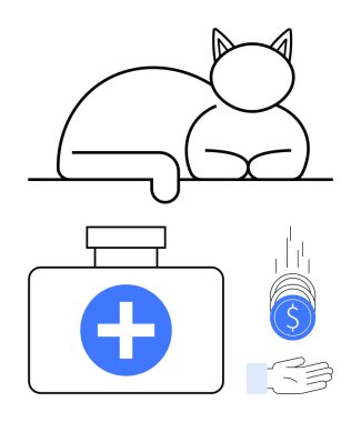 Kedi bir haçla evcil hayvan ilk yardım kutusunun üzerinde, düşen bozuk paraların yanında rahatça yatıyordu. Veteriner bakımı, hayvan sağlığı, hayır kurumu, tasarruf, finansal destek, hayvan refahı, basit