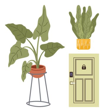 Terracotta ve sarı tencerelerde uzun yapraklı ev bitkilerinin yanında güvenli kilidi olan zarif yeşil bir kapı. Ev güvenliği, iç tasarım, minimalizm, doğa, dekor, şık yaşam ve basit yaşam için ideal