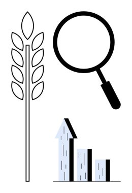 Tahıl sapı, büyüteç ve büyüyen bar grafiği tarımsal ilerleme, pazar analizi, gıda sektörü çalışmalarını gösteriyor. Çiftçilik, tarım sektörü, analitik ve sürdürülebilirlik araştırmaları için ideal