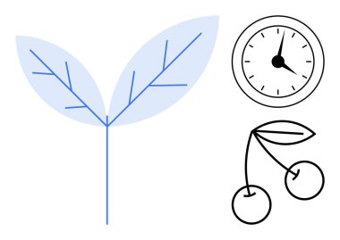 Saat, hassas yapraklar ve kirazlar doğayı, dengeyi, büyümeyi ve zamanı temsil eder. Sürdürülebilirlik, sağlık ekolojisi zaman yönetimi için ideal doğal yaşam tarzı organik temalar. Basit düz