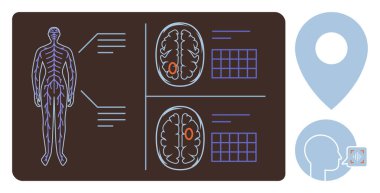 Sinir sistemi çizilmiş insan figürü, beyin taramaları sinirsel aktivite ve analiz sembolleri gösteriyor. Sağlık, sinir bilimi, araştırma, tanı, anatomi ve tıbbi teknoloji için ideal.
