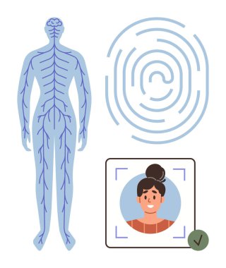 Sinir sistemi anatomisi, parmak izi kalıbı ve tarama çerçevesinde işaretli yüz tanımlaması. Biyometrik, kimlik, teknoloji, güvenlik, sağlık, yenilik için ideal basit bir daire