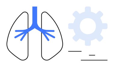 Sağlığı, işlevselliği, gelişmeyi, tıbbi ilerlemeyi, analizi, yeniliği, basit iniş sayfasını öneren bir dişlinin yanında solunum yolları dallanmış akciğerler.