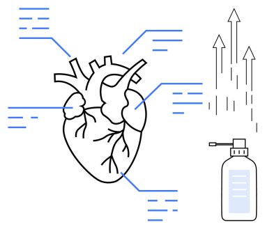 Anatomik kalp, sağlık, ilerleme ve hijyeni temsil eden dezenfektan şişesi ve yukarı doğru okların eşlik ettiği bilimsel detayları gösteren bölümlerle etiketlenmiştir. Bilim ve sağlık için ideal
