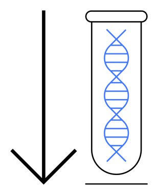 Bir test tüpü içindeki DNA sarmalı aşağı doğru cesur bir okla eşleştirilerek genetik testleri, araştırmaları ve bilimsel deneyleri sembolize ediyor. Biyoteknoloji, genetik, bilim eğitimi ve kimyasal için ideal