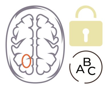 Belirlenmiş bir bölgeye sahip beyin anatomisi, kilitli bir asma kilit, ve karar verme mekanizmasını temsil eden A-B-C seçenekleri, güvenlik, hafıza, öğrenme, problem çözme, nörobilim bilişsel süreçleri. İdeal