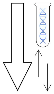 Genetik analiz, araştırma ve ilerlemenin yönünü vurgulayan DNA ipliği ve kalın oklarla test tüpü. Biyoteknoloji, genetik, moleküler biyoloji ve bilimsel araştırma için ideal.