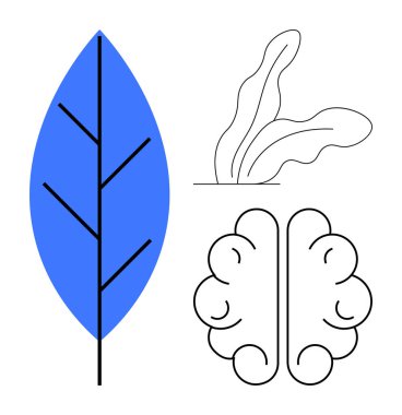 Mavi yaprak, soyut dalgalı bitki ve büyüme, ekoloji, doğa, yenilik, öğrenme, sürdürülebilirlik yaratıcılığını temsil eden beyin taslağı. Çevre dostu düşünce biyolojisi için ideal.