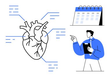 Etiketli detaylarla anatomik kalp diyagramı, verileri gösteren tıbbi uzman, programlama için takvim. Sağlık eğitimi, kalp bakımı, tıbbi planlama, sağlık hizmetleri, teşhis, programlar için ideal