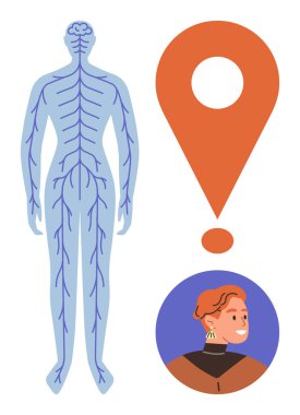 İnsan sinir sistemi diyagramı büyük ünlem ve insan portresi ile eşleştirildi. Sağlık, anatomi, nöroloji, bilim, eğitim, tıbbi araştırma ve tanı konuları için idealdir. Basit düz