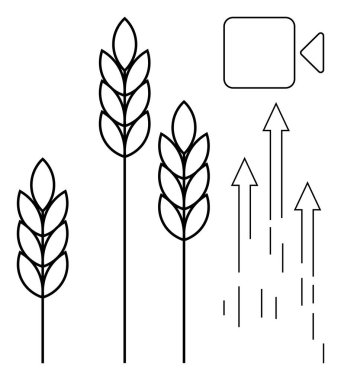 Üç buğday sapı büyümeyi ve tarımı simgeler, oklar gelişmeyi ve ilerlemeyi simgeler ve bir kamera ikonu da görsel belgeleri simgeler. Sürdürülebilirlik, ekoloji ve ilerleme için ideal