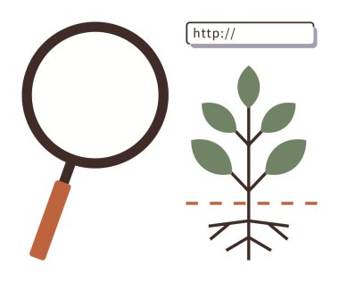 Görünür kökleri olan büyüteç ve bitki, SEO büyümesini, araştırmasını ve görünürlüğünü simgeliyor. Dijital pazarlama, arama optimizasyonu, analitik ve veri geliştirme araştırmaları için ideal. Basit.