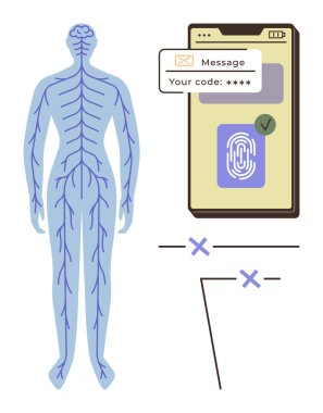 Akıllı telefon ekranının yanında insan sinir sistemi biyometrik parmak izi doğrulaması ve güvenlik kodu gösteriyor. Siber güvenlik, teknoloji, sağlık, insan ilişkileri ve tıp bilimi için ideal