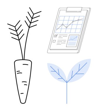 Havuç eskizi, analitik çizelgesi ve stilize yaprakları olan bir pano. Çiftçilik, sürdürülebilirlik, tarım, organik gıda, analitik ekolojik doğa uygulamaları için idealdir. Basit bir düz metafor.