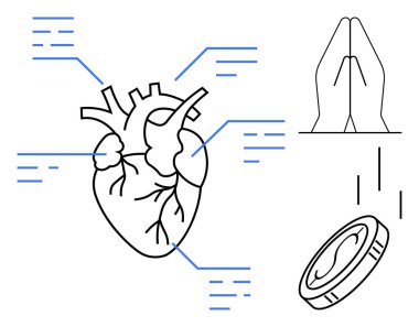 Ayrıntılı kalp diyagramı, bilimsel etiketler, dua eden eller, düşen paralar. Sağlık, inanç, yardım, anatomi, maneviyat tıbbi araştırma sağlığı için idealdir. Basit düz metafor