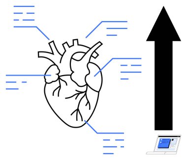 Bağlı veri noktaları olan anatomik kalp, ilerlemeyi simgeleyen yukarı ok ve belge istasyonu. Tıp, araştırma, büyüme, analitik, sağlık, teşhis için ideal basit düz metafor