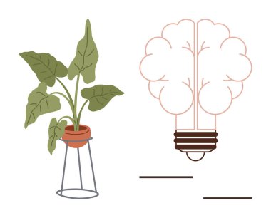 Bir saksının içindeki saksı, doğayı yenilikle birleştiren beyin şeklindeki bir ampulün yanında duruyor. Büyüme, yaratıcılık, sürdürülebilirlik, eğitim, beyin fırtınası, ekoloji, minimalist kavram için ideal