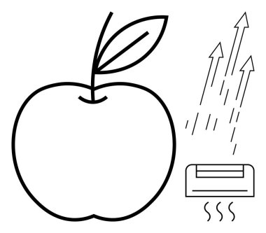Klimanın yanındaki yapraklı elma hava akımı ve buhar boruları yayıyor. Gıda depolama, teknoloji, tazelik, çevre, sağlık, soğutma, sürdürülebilirlik için ideal. Basit düz metafor