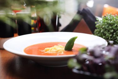 Vejetaryen, erişteli domates çorbası, fesleğen ve krema. Lezzetli yemek, geleneksel çorba. Arka plan bulanık. İlk yemek, dışarıda yemek, bir restoranda..