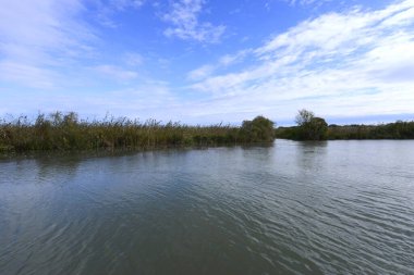 Mincio Nehri Vadisi, Mantua, Lombardy, İtalya
